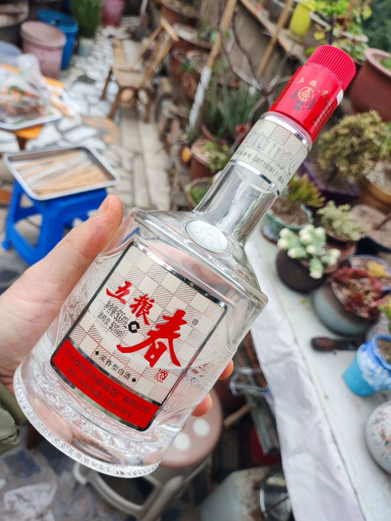 五粮春 20230125 125911