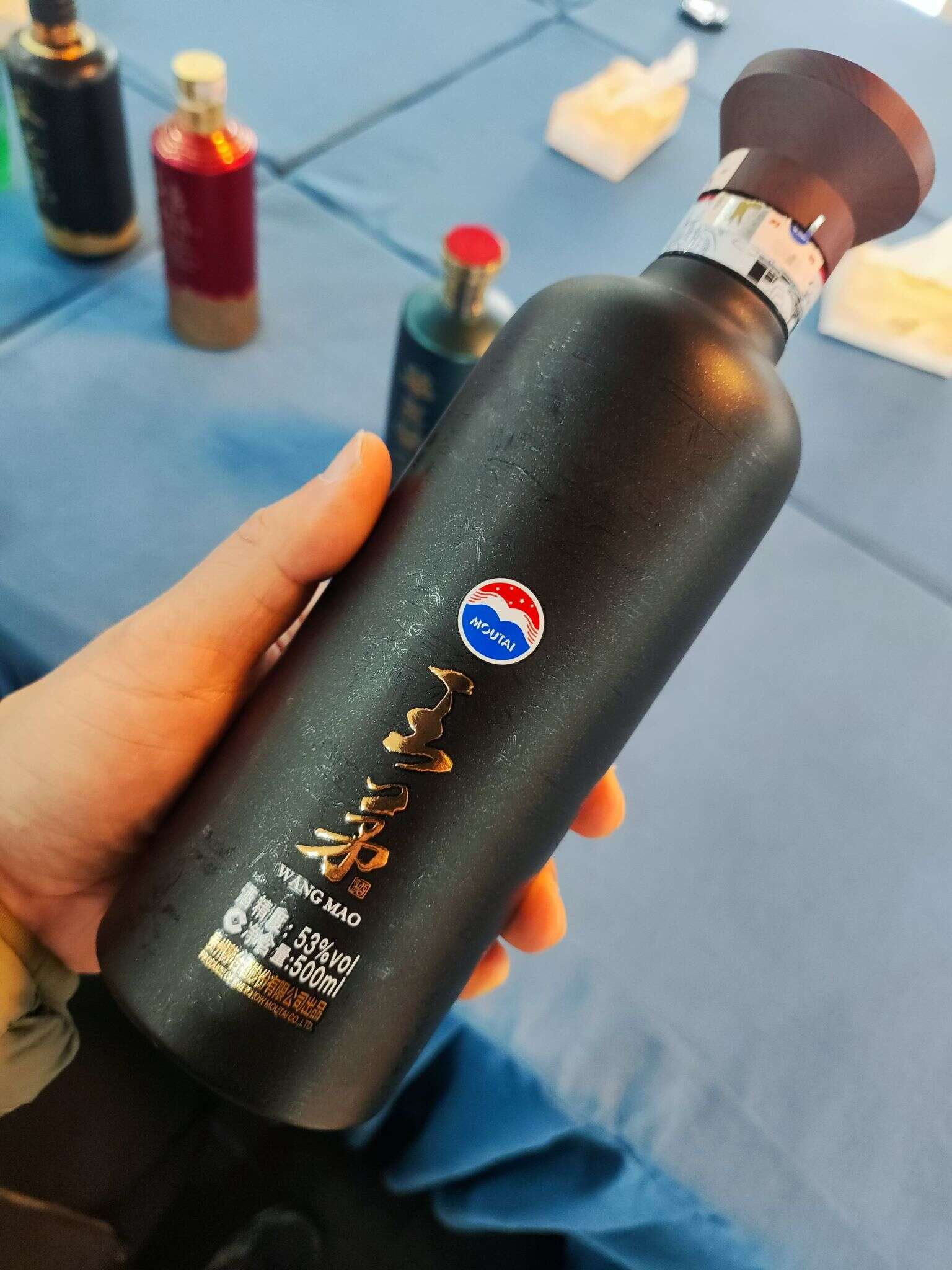 黑王茅 20230216 155530